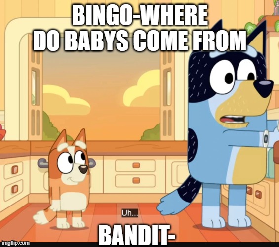 kids asking questions be like | BINGO-WHERE DO BABYS COME FROM; BANDIT- | image tagged in bingo,memes,bluey | made w/ Imgflip meme maker