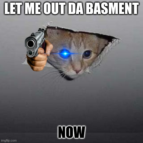Cat just wants out :( | LET ME OUT DA BASMENT; NOW | image tagged in memes,ceiling cat | made w/ Imgflip meme maker