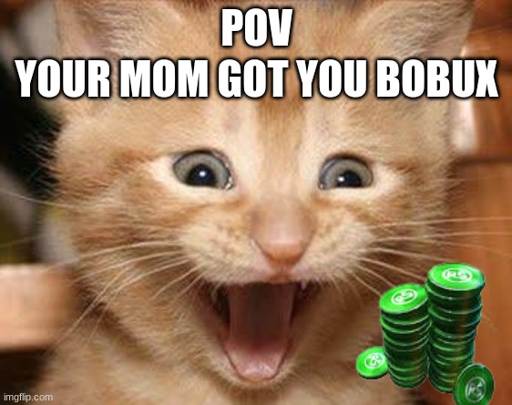 BOBUXXX | YOUR MOM GOT YOU BOBUX; POV | image tagged in memes,excited cat | made w/ Imgflip meme maker