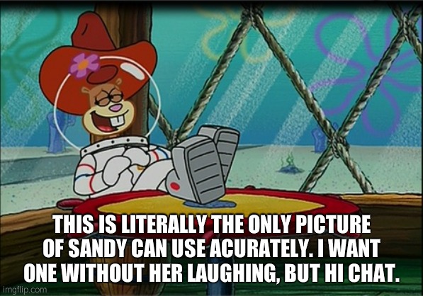 Sandy Cheeks | THIS IS LITERALLY THE ONLY PICTURE OF SANDY CAN USE ACURATELY. I WANT ONE WITHOUT HER LAUGHING, BUT HI CHAT. | image tagged in sandy cheeks | made w/ Imgflip meme maker