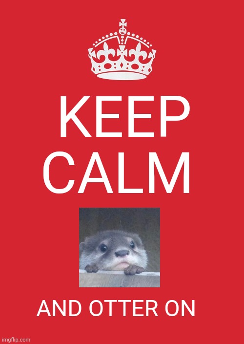 Otter on | KEEP CALM; AND OTTER ON | image tagged in memes,keep calm and carry on red | made w/ Imgflip meme maker