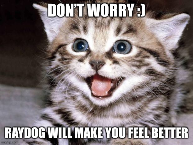 Happy cat | DON’T WORRY :); RAYDOG WILL MAKE YOU FEEL BETTER | image tagged in uber cute cat | made w/ Imgflip meme maker