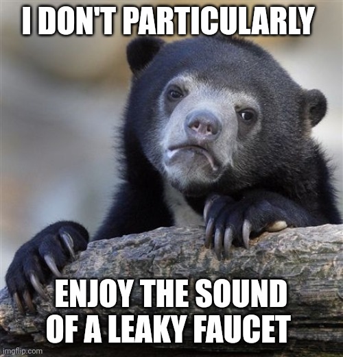 I don't like the sound of a leaky faucet | I DON'T PARTICULARLY; ENJOY THE SOUND OF A LEAKY FAUCET | image tagged in memes,confession bear | made w/ Imgflip meme maker