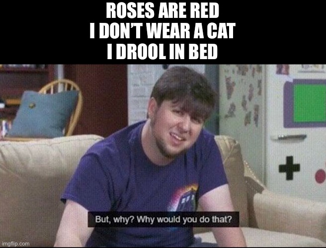 My dreams | ROSES ARE RED
I DON’T WEAR A CAT
I DROOL IN BED | image tagged in but why why would you do that | made w/ Imgflip meme maker