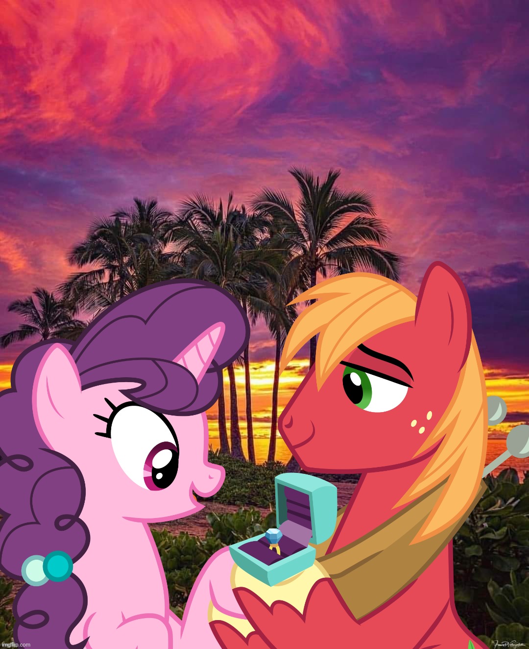 image tagged in big macintosh,sugar belle,my little pony,shipping | made w/ Imgflip meme maker