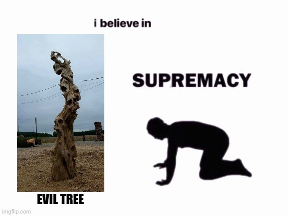 Evil tree supremacy | EVIL TREE | image tagged in i believe in blank supremacy | made w/ Imgflip meme maker