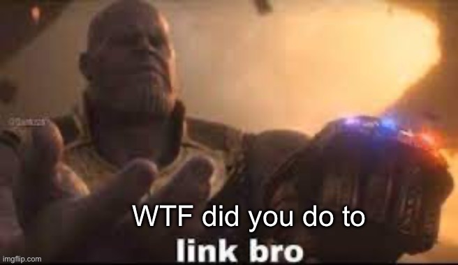 link bro | WTF did you do to | image tagged in link bro | made w/ Imgflip meme maker