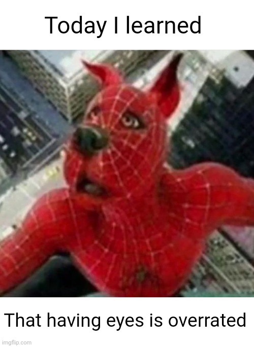 Meme #3,001 | Today I learned; That having eyes is overrated | image tagged in spider man,dogs,photoshop,eyes,overrated,cursed image | made w/ Imgflip meme maker