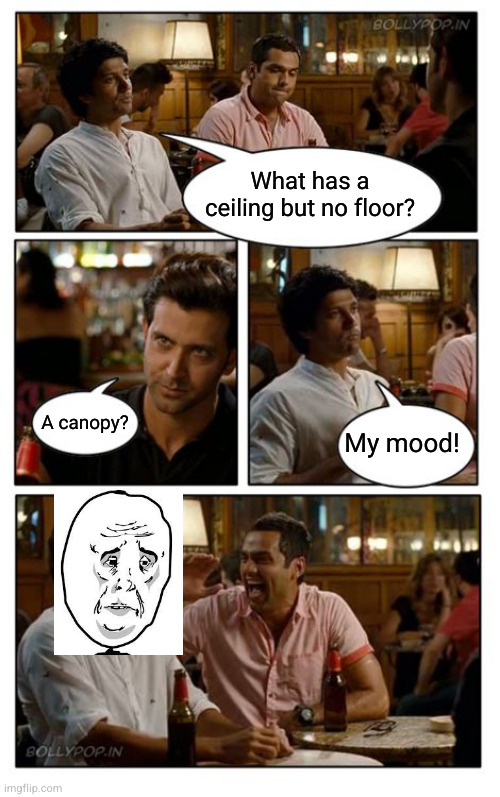They always laugh | What has a ceiling but no floor? A canopy? My mood! | image tagged in memes,znmd | made w/ Imgflip meme maker