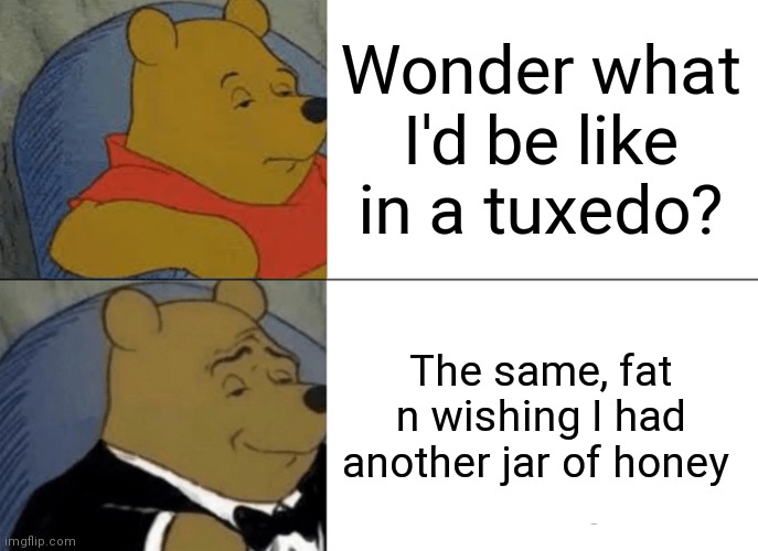 Tuxedo Winnie The Pooh | Wonder what I'd be like in a tuxedo? The same, fat n wishing I had another jar of honey | image tagged in memes,tuxedo winnie the pooh | made w/ Imgflip meme maker