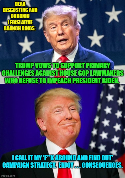 It's the right thing to do . . . and you know it. | DEAR DISGUSTING AND CHRONIC LEGISLATIVE BRANCH RINOS:; TRUMP VOWS TO SUPPORT PRIMARY CHALLENGES AGAINST HOUSE GOP LAWMAKERS WHO REFUSE TO IMPEACH PRESIDENT BIDEN. I CALL IT MY 'F**K AROUND AND FIND OUT' CAMPAIGN STRATEGY.  ENJOY . . . CONSEQUENCES. | image tagged in yep | made w/ Imgflip meme maker