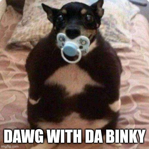 Dawg with da binky | DAWG WITH DA BINKY | made w/ Imgflip meme maker