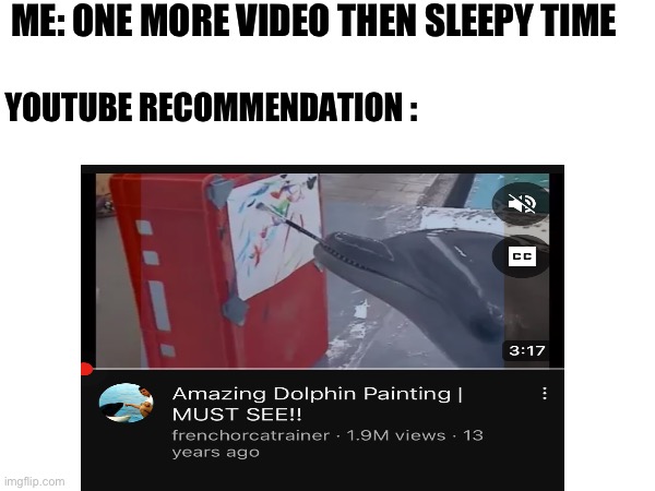 Bit of a dolphin fan here so of course | ME: ONE MORE VIDEO THEN SLEEPY TIME; YOUTUBE RECOMMENDATION : | image tagged in relatable memes | made w/ Imgflip meme maker