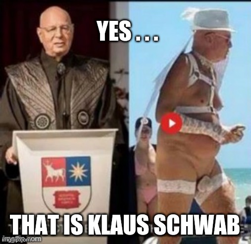 YES . . . THAT IS KLAUS SCHWAB | made w/ Imgflip meme maker