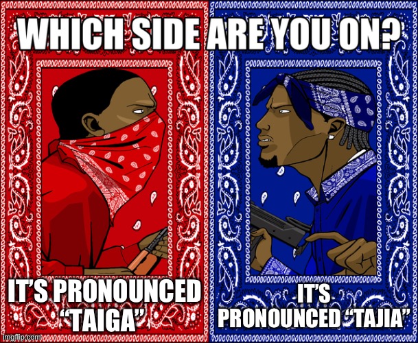 Like i don’t know which way to pronounce it | IT’S PRONOUNCED “TAIGA”; IT’S PRONOUNCED “TAJIA” | image tagged in which side are you on | made w/ Imgflip meme maker