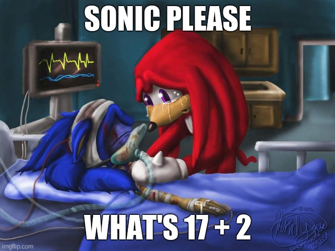 sonic please | SONIC PLEASE; WHAT'S 17 + 2 | image tagged in sonic please | made w/ Imgflip meme maker