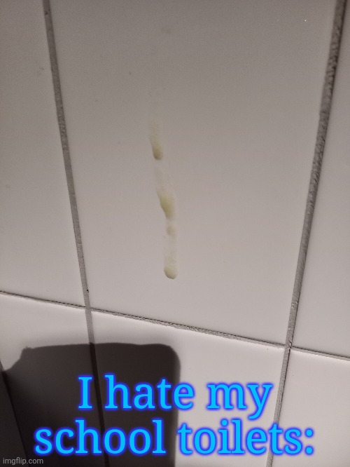 I hate my school toilets: | image tagged in frost | made w/ Imgflip meme maker