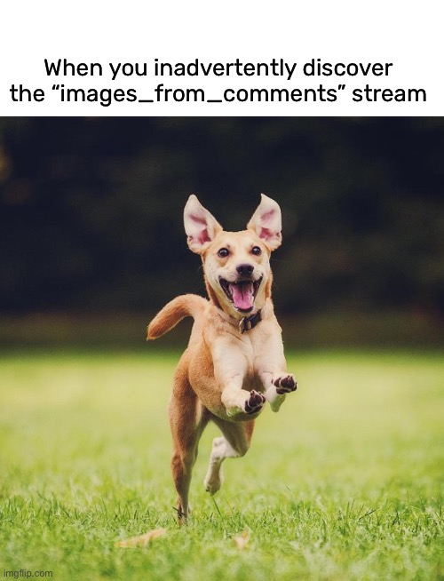 I needed a spot to put them lol | When you inadvertently discover the “images_from_comments” stream | image tagged in meme,comment stream,happy dance | made w/ Imgflip meme maker