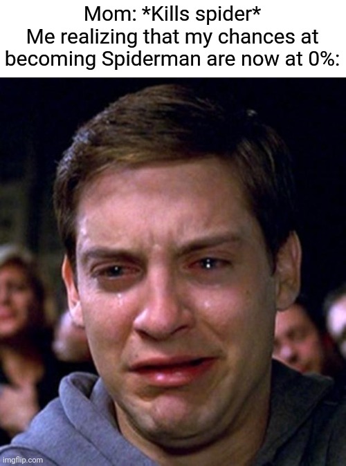 crying peter parker | Mom: *Kills spider*
Me realizing that my chances at becoming Spiderman are now at 0%: | image tagged in crying peter parker | made w/ Imgflip meme maker