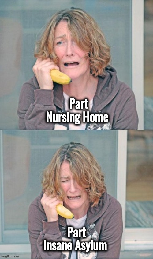 Mental patient | Part Nursing Home Part Insane Asylum | image tagged in mental patient | made w/ Imgflip meme maker