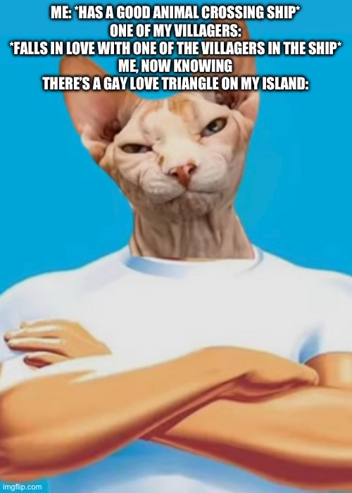 I needed to make this meme because I am angry | ME: *HAS A GOOD ANIMAL CROSSING SHIP*
ONE OF MY VILLAGERS: *FALLS IN LOVE WITH ONE OF THE VILLAGERS IN THE SHIP*
ME, NOW KNOWING THERE’S A GAY LOVE TRIANGLE ON MY ISLAND: | image tagged in angru | made w/ Imgflip meme maker