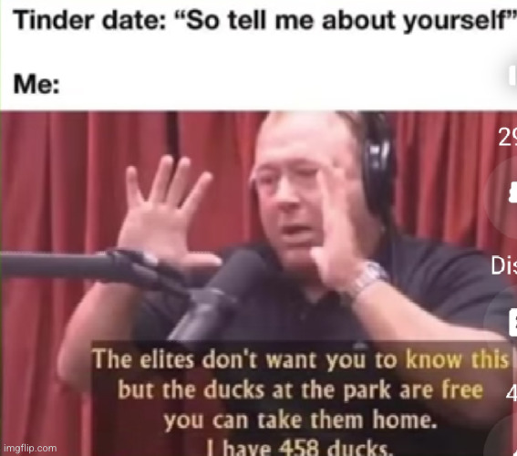 how to impress your tinder date | image tagged in tinder,life hack,ducks,parkour,funny,impressive | made w/ Imgflip meme maker