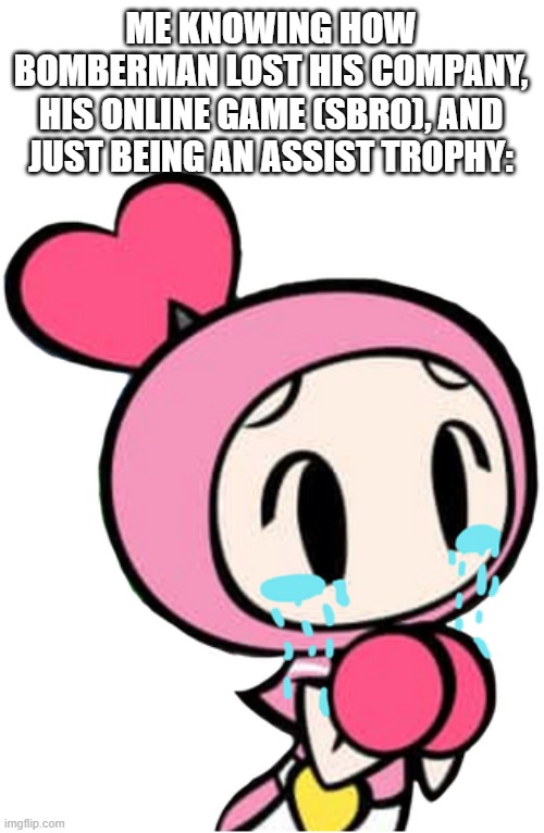 Sad... | ME KNOWING HOW BOMBERMAN LOST HIS COMPANY, HIS ONLINE GAME (SBRO), AND JUST BEING AN ASSIST TROPHY: | image tagged in pink bomber sad,sad but true | made w/ Imgflip meme maker