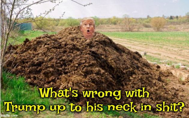 Trump's in deep shit | What's wrong with Trump up to his neck in shit? | image tagged in trump,up to his neck,manure,maga,legal trouble,jack smith | made w/ Imgflip meme maker