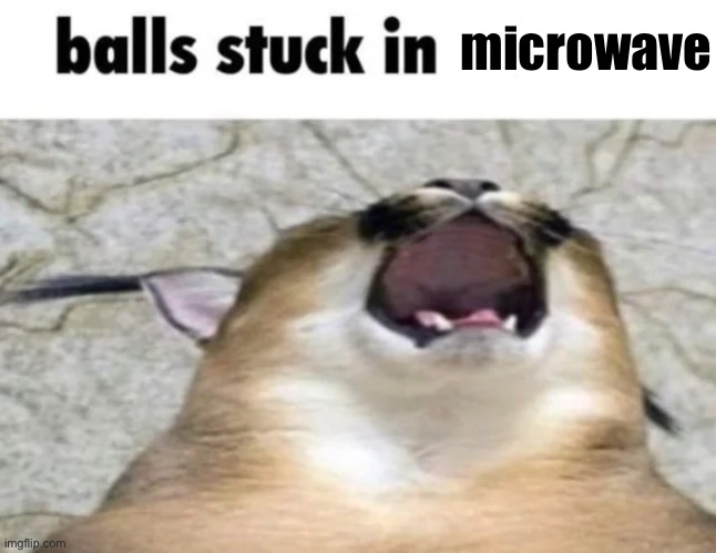 Balls stuck In printer | microwave | image tagged in balls stuck in printer | made w/ Imgflip meme maker