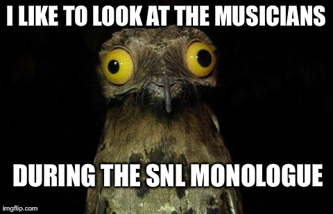 weird stuff i do pootoo | I LIKE TO LOOK AT THE MUSICIANS DURING THE SNL MONOLOGUE | image tagged in weird stuff i do pootoo | made w/ Imgflip meme maker