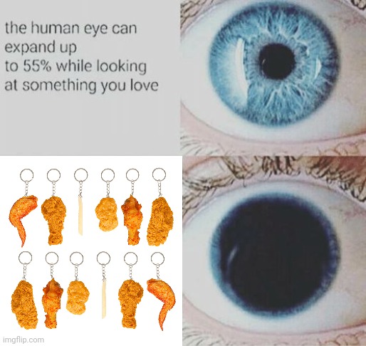 Chicken wings chicken nuggets and fries keychains | image tagged in eye pupil expand,chicken,fries,keychains,keychain,memes | made w/ Imgflip meme maker