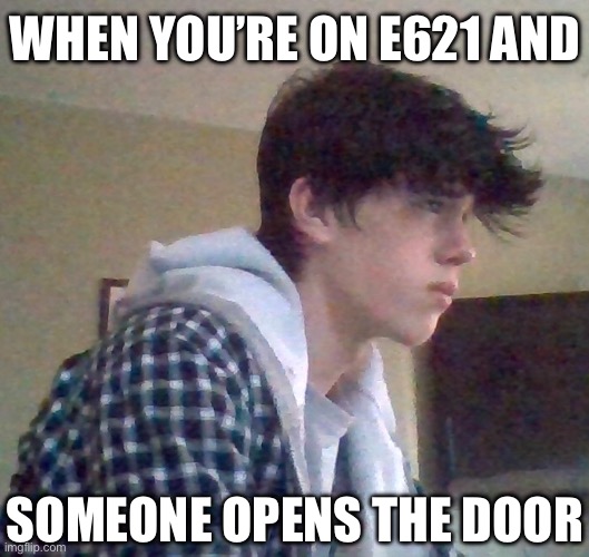 EJ OFFICIAL FACE | WHEN YOU’RE ON E621 AND; SOMEONE OPENS THE DOOR | image tagged in ej official face | made w/ Imgflip meme maker