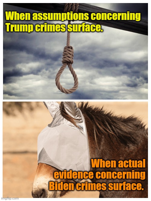 Democrat Minions... | When assumptions concerning Trump crimes surface. When actual evidence concerning Biden crimes surface. | made w/ Imgflip meme maker