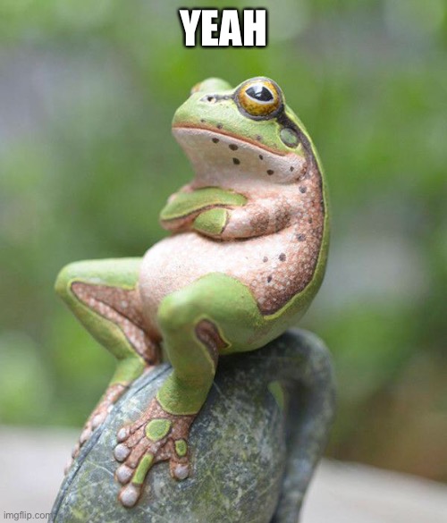 nah frog | YEAH | image tagged in nah frog | made w/ Imgflip meme maker