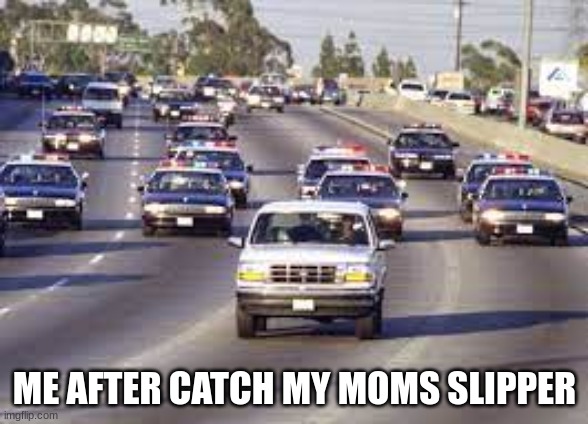 ME AFTER CATCH MY MOMS SLIPPER | image tagged in fun,police | made w/ Imgflip meme maker