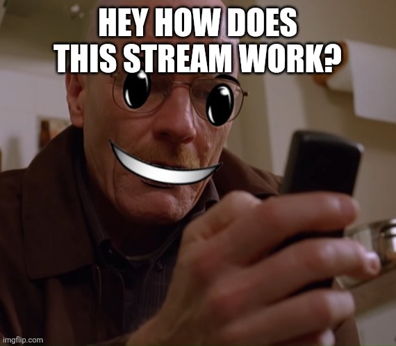 It seems interesting | HEY HOW DOES THIS STREAM WORK? | image tagged in walter white roblox smile | made w/ Imgflip meme maker