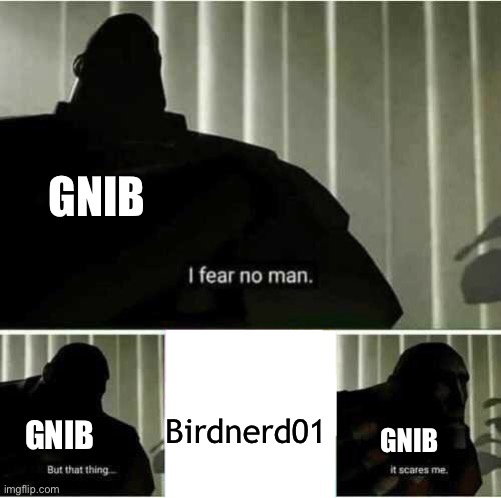 Apparently I’m a scary madlad | GNIB; Birdnerd01; GNIB; GNIB | image tagged in i fear no man | made w/ Imgflip meme maker