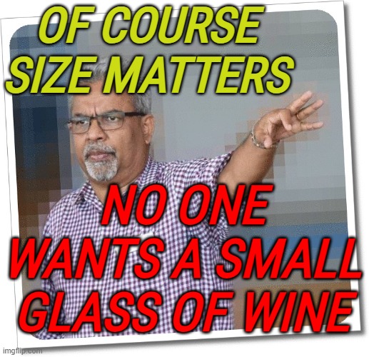Of Course Size Matters | OF COURSE SIZE MATTERS; NO ONE WANTS A SMALL GLASS OF WINE | image tagged in size matters indian guy | made w/ Imgflip meme maker