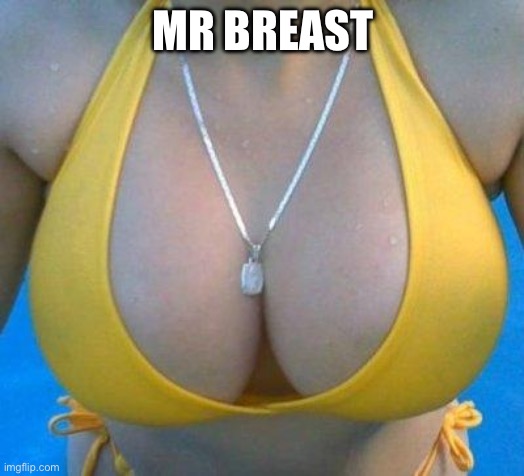 boobs | MR BREAST | image tagged in boobs | made w/ Imgflip meme maker