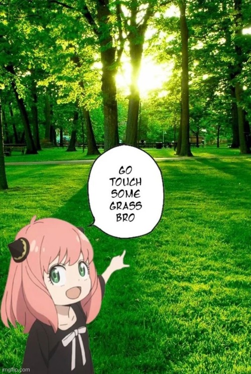 go touch some grass bro | image tagged in go touch some grass bro | made w/ Imgflip meme maker
