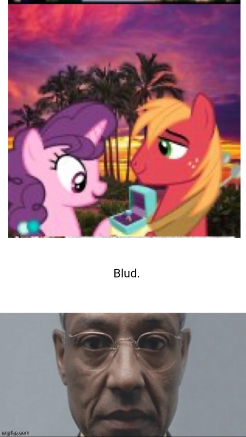 image tagged in blud | made w/ Imgflip meme maker