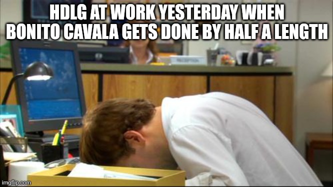 Dies of Boredom | HDLG AT WORK YESTERDAY WHEN BONITO CAVALA GETS DONE BY HALF A LENGTH | image tagged in dies of boredom | made w/ Imgflip meme maker