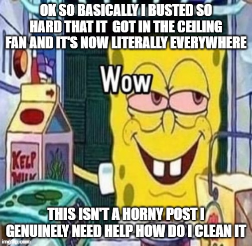 Wow bob | OK SO BASICALLY I BUSTED SO HARD THAT IT  GOT IN THE CEILING FAN AND IT'S NOW LITERALLY EVERYWHERE; THIS ISN'T A HORNY POST I GENUINELY NEED HELP HOW DO I CLEAN IT | image tagged in wow bob | made w/ Imgflip meme maker