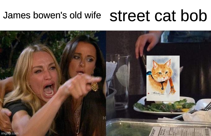 Woman Yelling At Cat | James bowen's old wife; street cat bob | image tagged in memes,woman yelling at cat | made w/ Imgflip meme maker