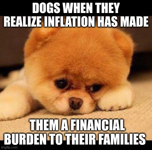 I still have my dogs, | DOGS WHEN THEY REALIZE INFLATION HAS MADE; THEM A FINANCIAL BURDEN TO THEIR FAMILIES | image tagged in sad dog | made w/ Imgflip meme maker