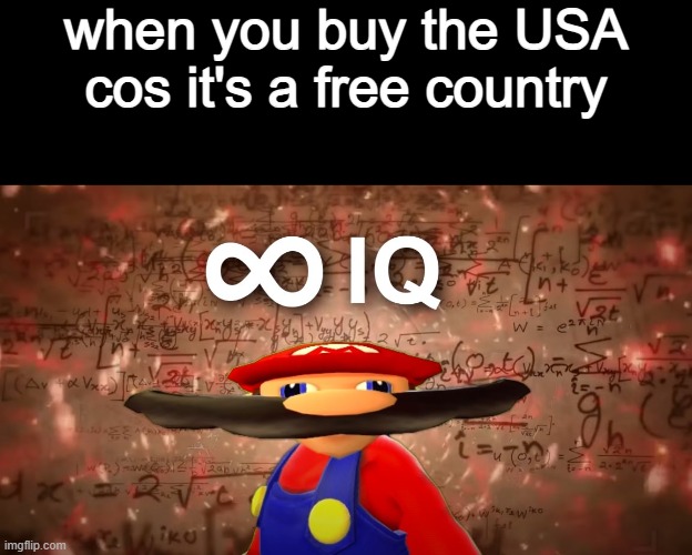 Infinite IQ Mario | when you buy the USA cos it's a free country | image tagged in infinite iq mario,freedom,usa,buy | made w/ Imgflip meme maker