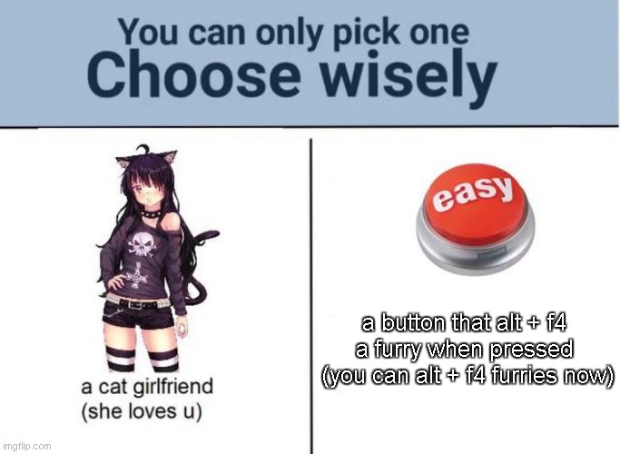 the best choice of your life | a button that alt + f4 a furry when pressed
 (you can alt + f4 furries now) | image tagged in choose wisely | made w/ Imgflip meme maker