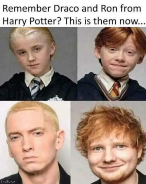 Draco and Ron | image tagged in draco malfoy,ron weasley | made w/ Imgflip meme maker