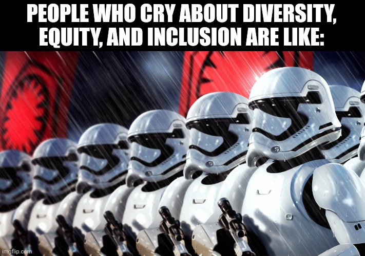 They're like waterboys who think they're quarterbacks. And that the best football team would be all quarterbacks. | PEOPLE WHO CRY ABOUT DIVERSITY, EQUITY, AND INCLUSION ARE LIKE: | image tagged in troopers,stormtroopers,diversity,nazis,neo-nazis,fascists | made w/ Imgflip meme maker