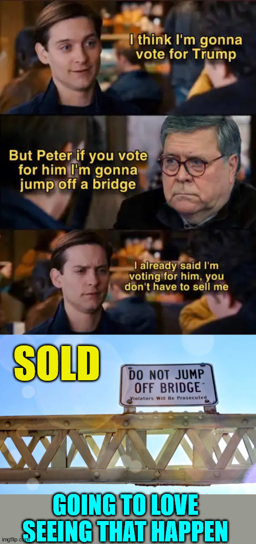 Worth my vote... | SOLD; GOING TO LOVE SEEING THAT HAPPEN | image tagged in jumping,off,bridge | made w/ Imgflip meme maker